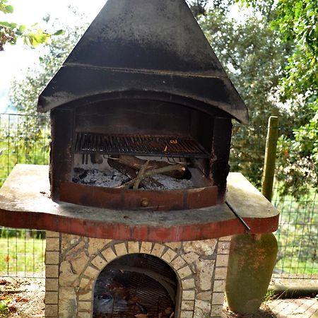 Agriturismo Podere Biancospino Piscina Privata 끼안챠노테르메 외부 사진